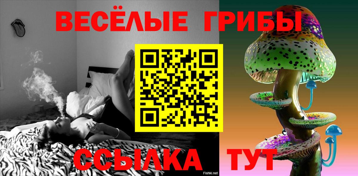 Псилоцибиновые грибы Psilocybine cubensis Десногорск