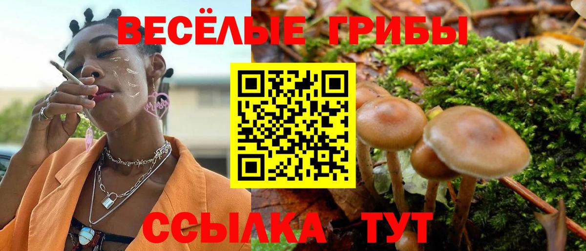Десногорск  Псилоцибиновые грибы GOLDEN TEACHER  Вход с VPN  Псилоцибиновые грибы Magic Shrooms 